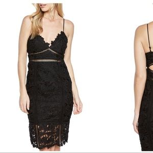 Bardot Botanica lace dress black XS